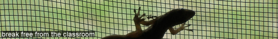 break free from the classroom