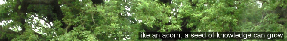 like an acorn, a seed of knowledge can grow